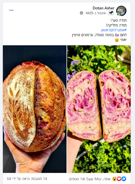 לחם מחמצת סער מור